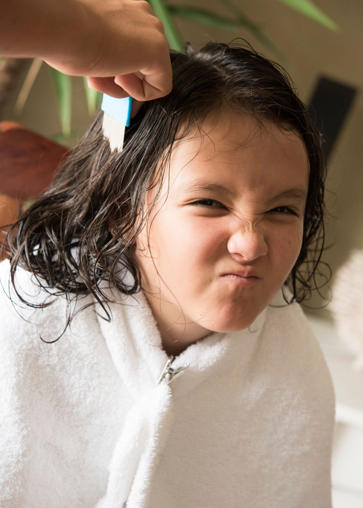 Best shampoo For Lice: Say Goodbye To Lice With Top 7 Brands!